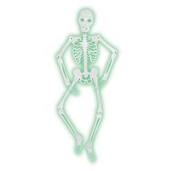 Beistle Mr. Bones-A-Glo Skeleton Party Supplies