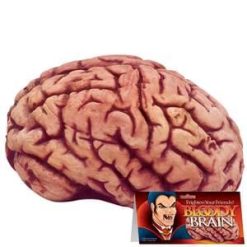 Loftus Bloody Brain Prop