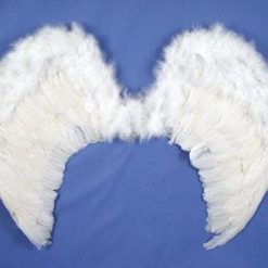 HM Smallwares Feather 31" Wings Christmas Accessories