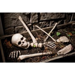 Fun World Bag O' Bones