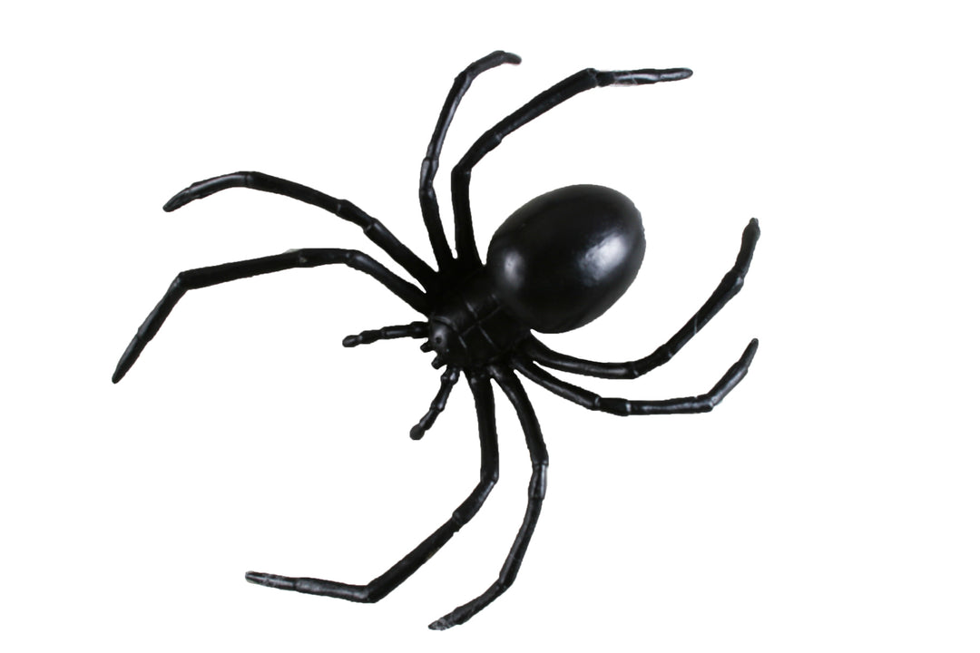 Fun World Indoor Decor Black Widow Spider 6" Prop 1 Fun World Indoor Decor Black Widow Spider 6" Prop