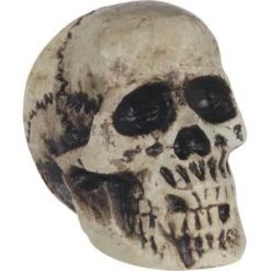 Loftus Foam Skull Prop