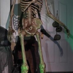 Morris Costumes 8' Towering Skeleton Animated Prop Electronic And Animated Props