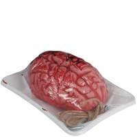 Loftus Bloody Brain In A Butcher Tray Body Parts