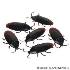 Rhode Island Novelty Fake Cockroach
