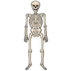 Halloween Jointed Skeleton- Vintage Beistle Beistle Vintage Halloween