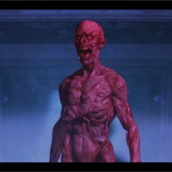 Morris Costumes ProFX Projector Kit Cemetery 5 Morris Costumes ProFX Projector Kit Cemetery