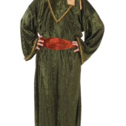 RG Deluxe Olive Wiseman Children's Costume Biblical Costumes