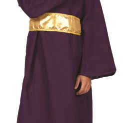 RG Purple Wiseman Children's Costume Biblical Costumes